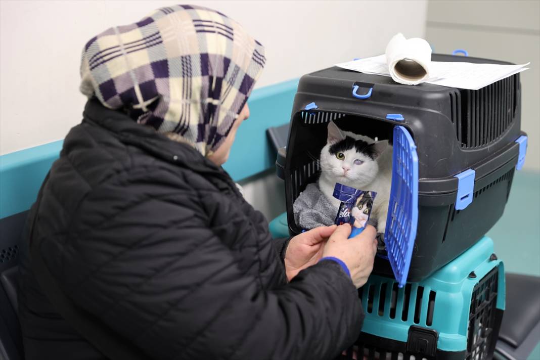 Selçuk Üniversitesi sektörde en çok aranan isimleri yetiştiriyor 8